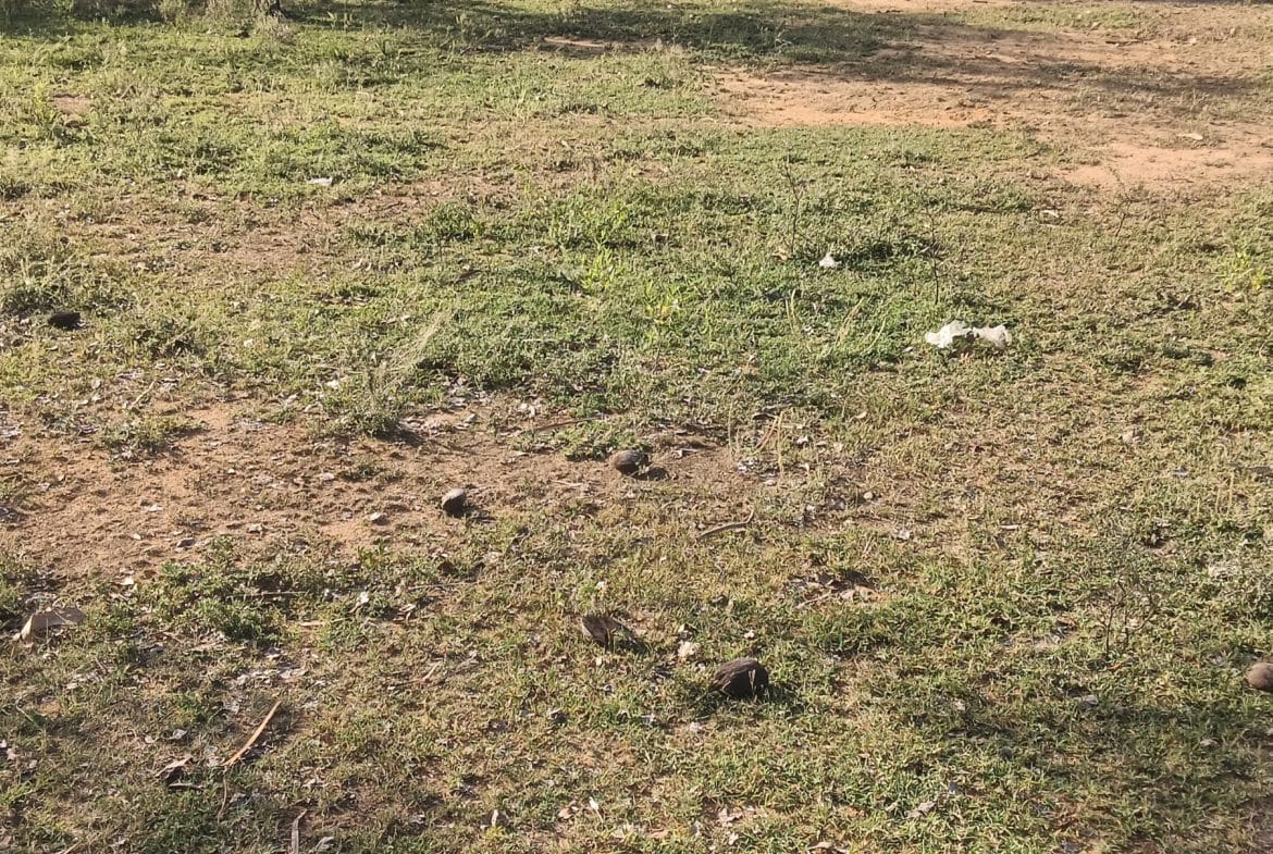 house for sale in Agasthiyarpatti