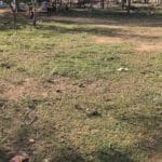 house for sale in Agasthiyarpatti