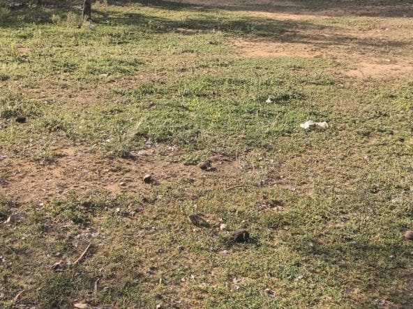 house for sale in Agasthiyarpatti