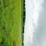 Land for sale in Dewas
