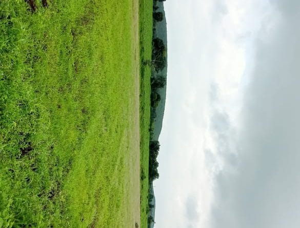 Land for sale in Dewas