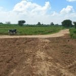 Plot for sale in Noida