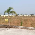Plot for sale in Tadikonda