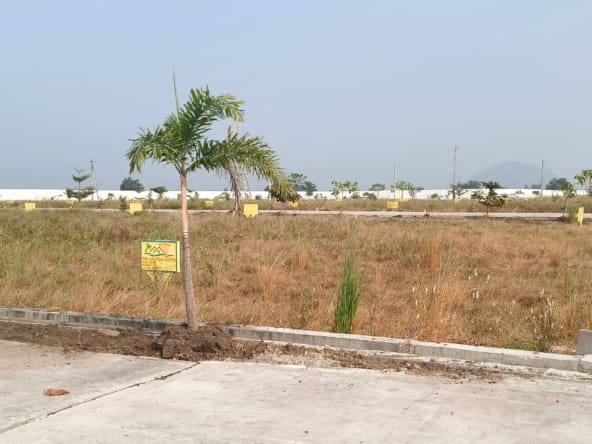 Plot for sale in Tadikonda