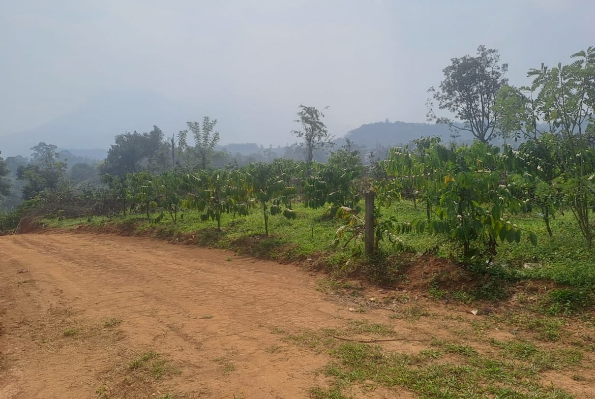 Plot for sale in Wayanad