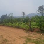 Plot for sale in Wayanad