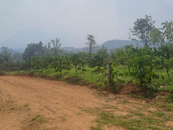 Plot for sale in Wayanad