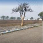 Plot for sale in Mithapur