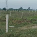 Plot for sale in Jagral