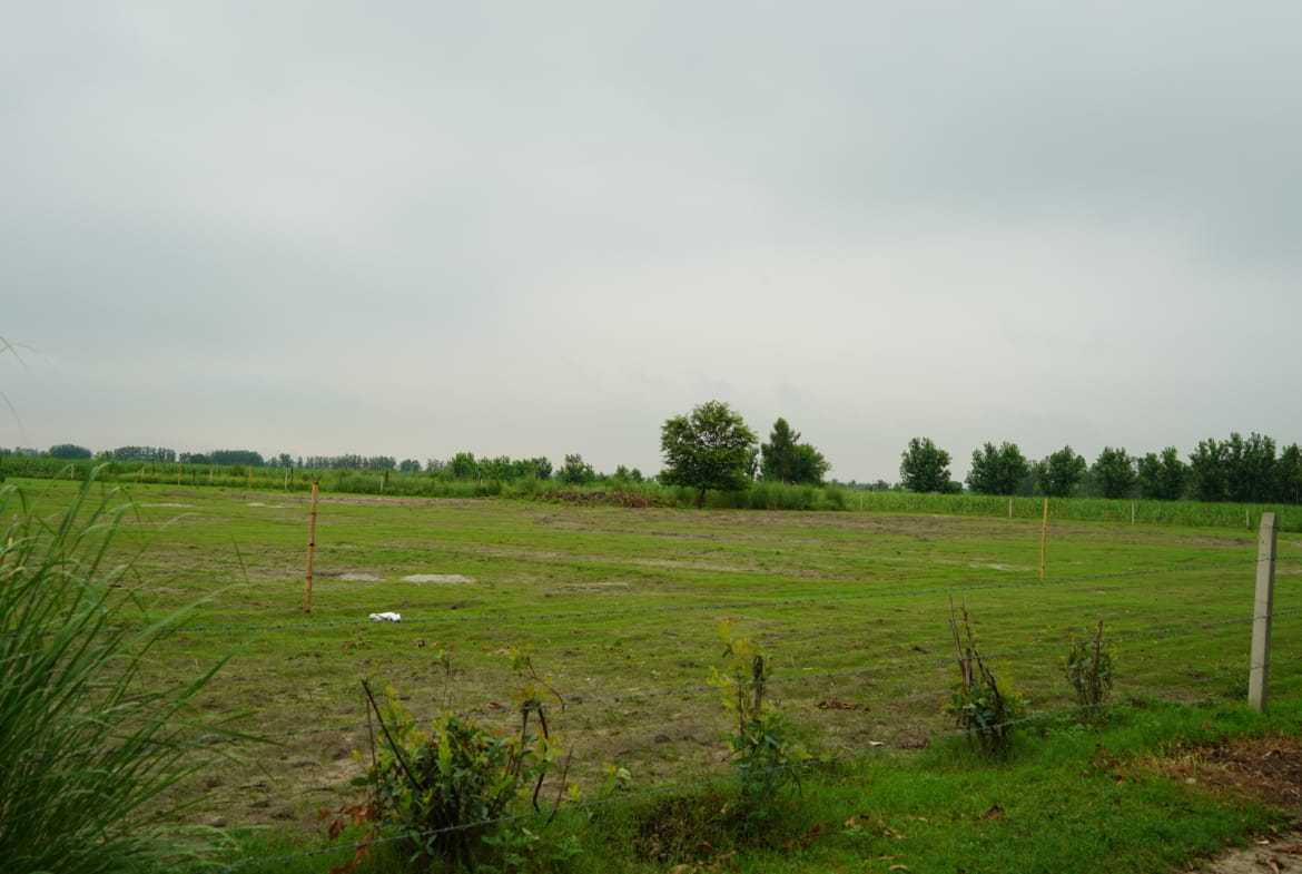 Land for Sale in Brijghat