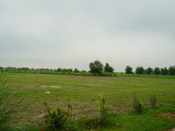 Land for Sale in Brijghat