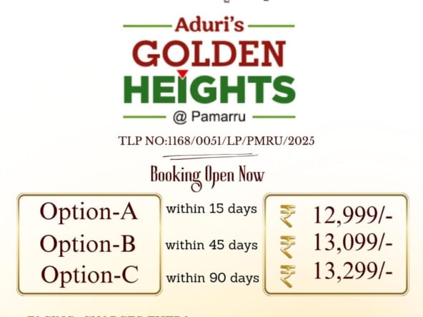 Plots for Sale in Pamarru