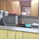 Office for Rent in Mithapur