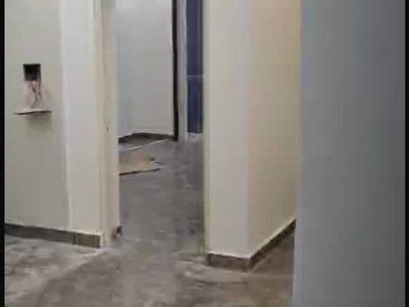 3Bhk Flat for Rent in Pitampura