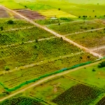 Plots for Sale in Nagalgidda