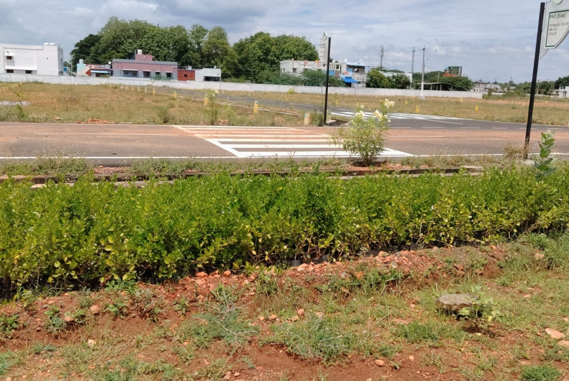 Land for Sale in Samayanallur Madurai