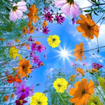 2BHK Flat for Rent in Patlipada Thane