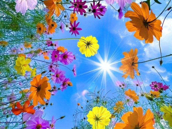 2BHK Flat for Rent in Patlipada Thane