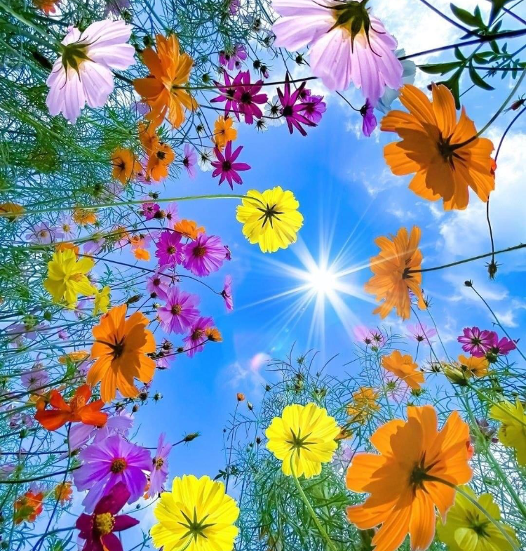 2BHK Flat for Rent in Patlipada Thane