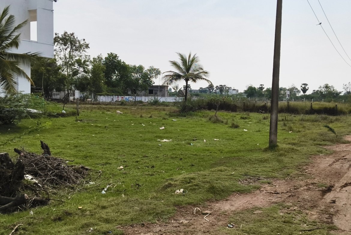 Plot for Sale in Sirkali Sattanathapuram