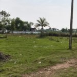 Plot for Sale in Sirkali Sattanathapuram